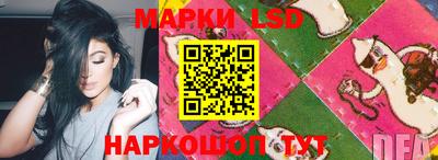 apvp Можга