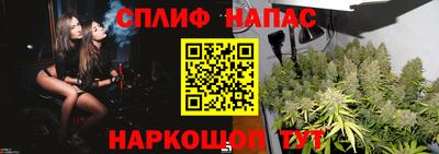 наркотики Малгобек