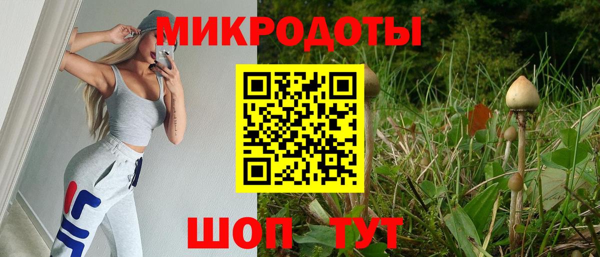Псилоцибиновые грибы GOLDEN TEACHER Удомля