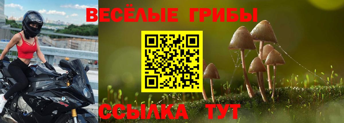 Удомля  Псилоцибиновые грибы Magic Shrooms  закладки  Вход с VPN 